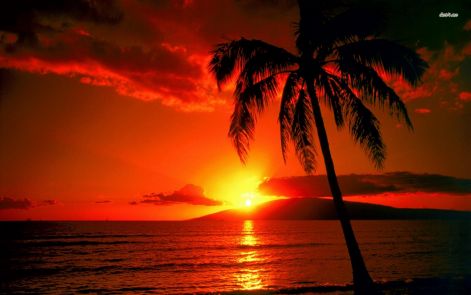 pictures-of-hawaii-beaches-sunset-wallpaper.jpg