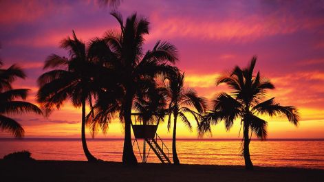 sunset-nature-hawaii-oahu-fresh-hd-wallpaper.jpg